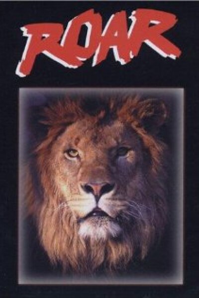 American Filmworks - Dus med løverne